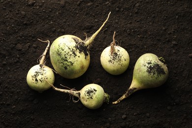 Photo of Fresh raw turnips on soil, top view. Root vegetable