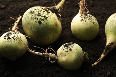 Photo of Fresh raw turnips on soil, closeup. Root vegetable