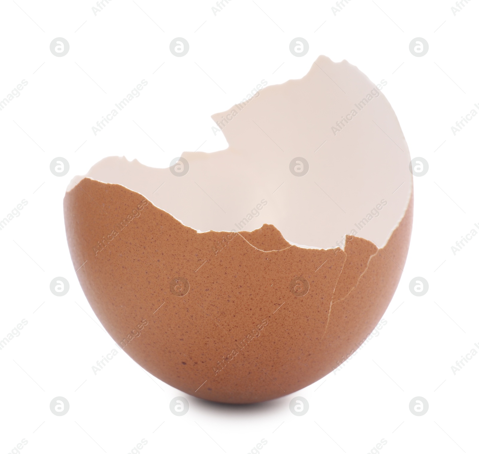 Photo of One piece of broken eggshell isolated on white