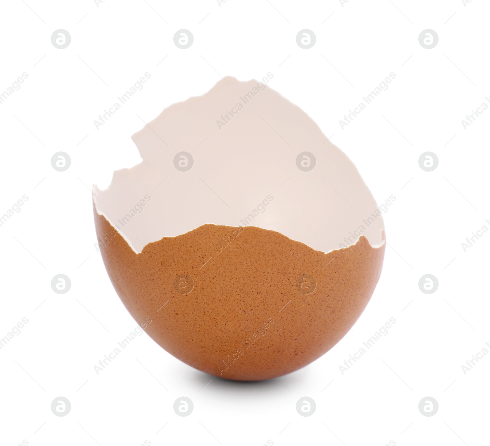 Photo of One piece of broken eggshell isolated on white