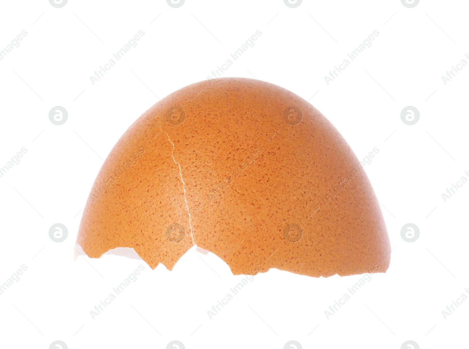 Photo of One piece of broken eggshell isolated on white