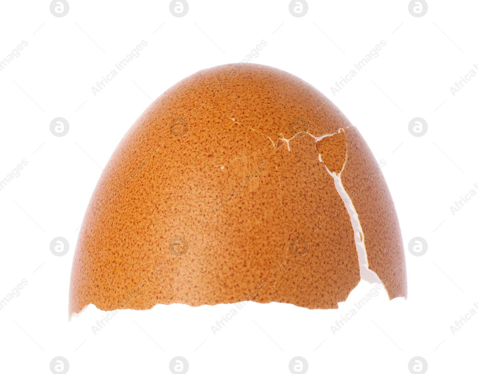 Photo of One piece of broken eggshell isolated on white