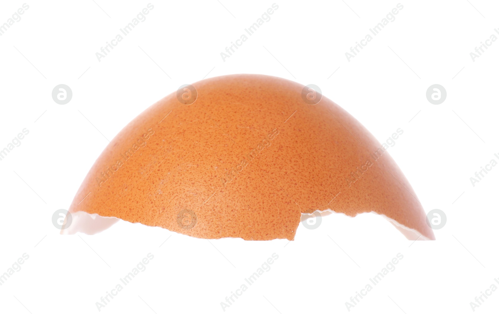 Photo of One piece of broken eggshell isolated on white