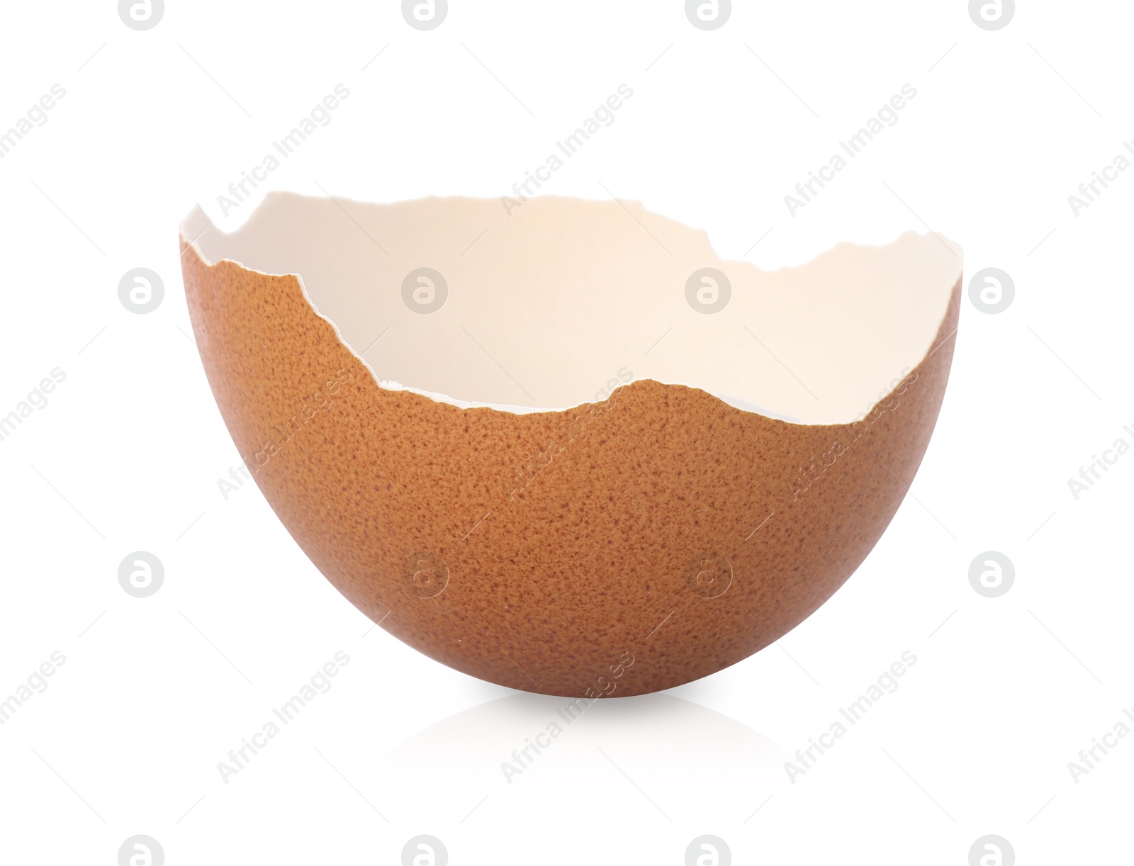 Photo of One piece of broken eggshell on mirror surface against white background