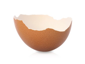 Photo of One piece of broken eggshell on mirror surface against white background