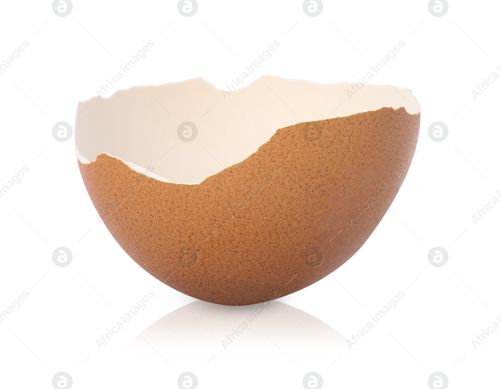 Photo of One piece of broken eggshell on mirror surface against white background