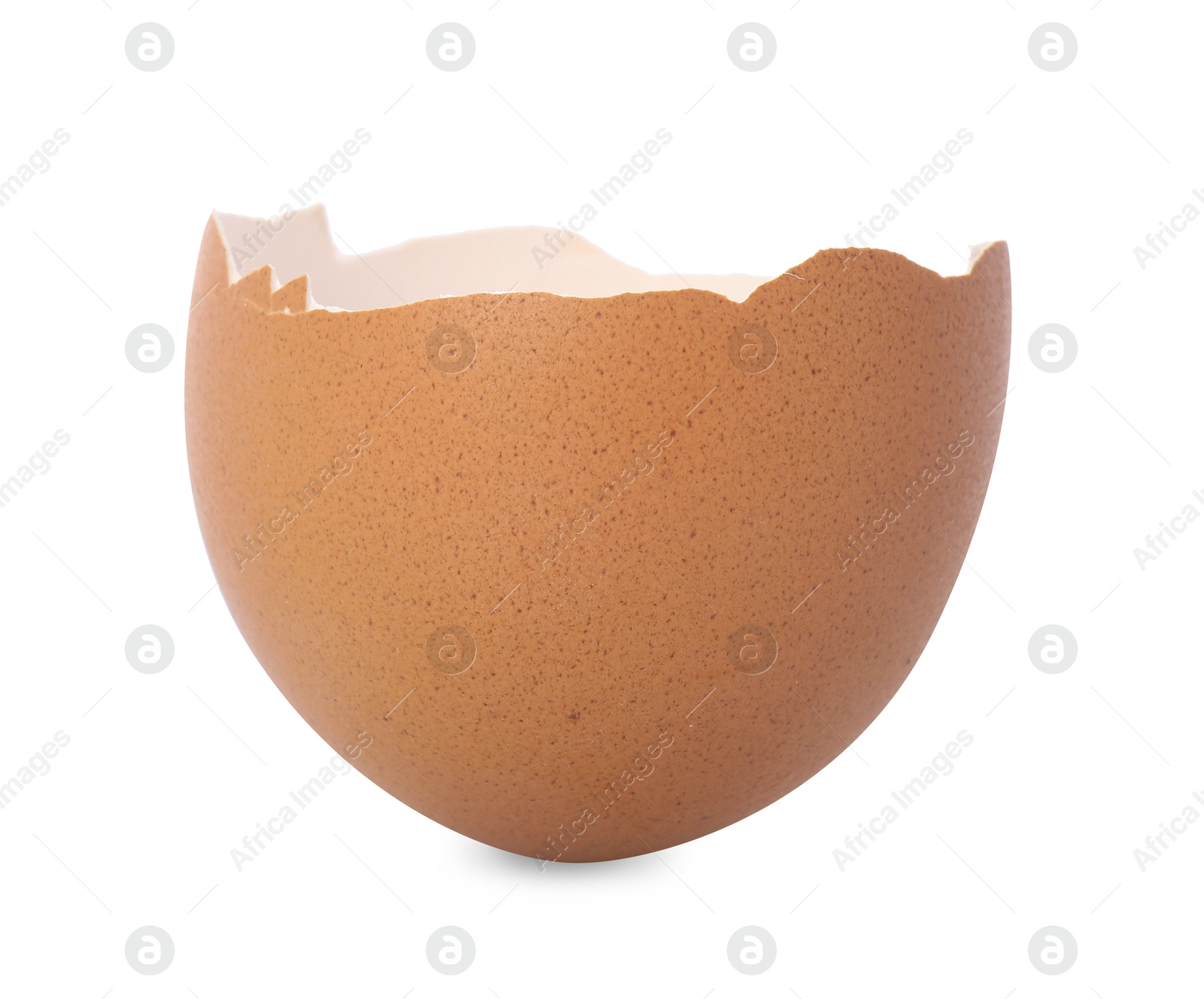 Photo of One piece of broken eggshell isolated on white