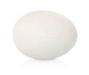 Photo of One piece of broken eggshell on mirror surface against white background