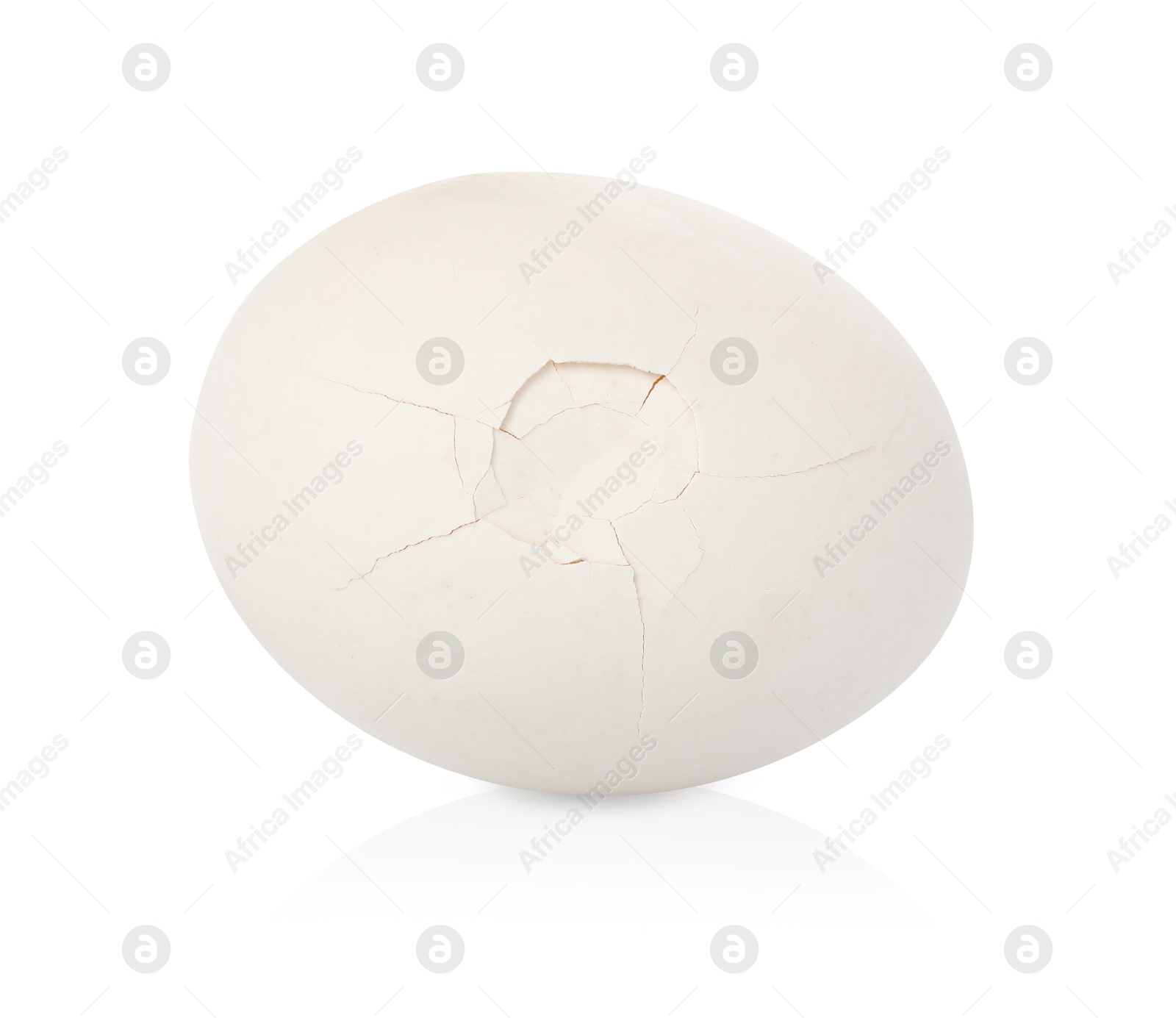 Photo of One piece of broken eggshell on mirror surface against white background