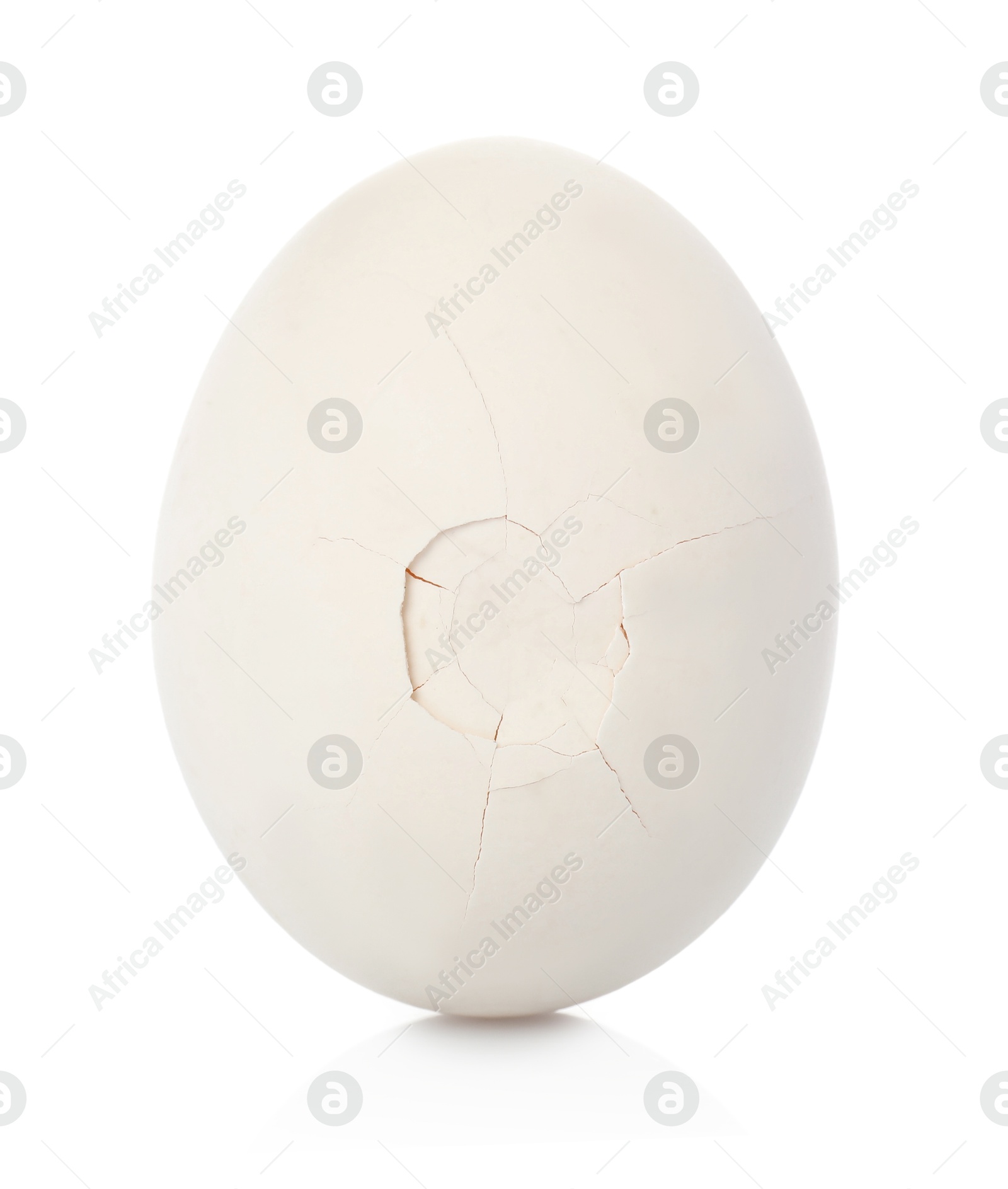 Photo of One piece of broken eggshell on mirror surface against white background