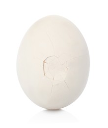 Photo of One piece of broken eggshell on mirror surface against white background