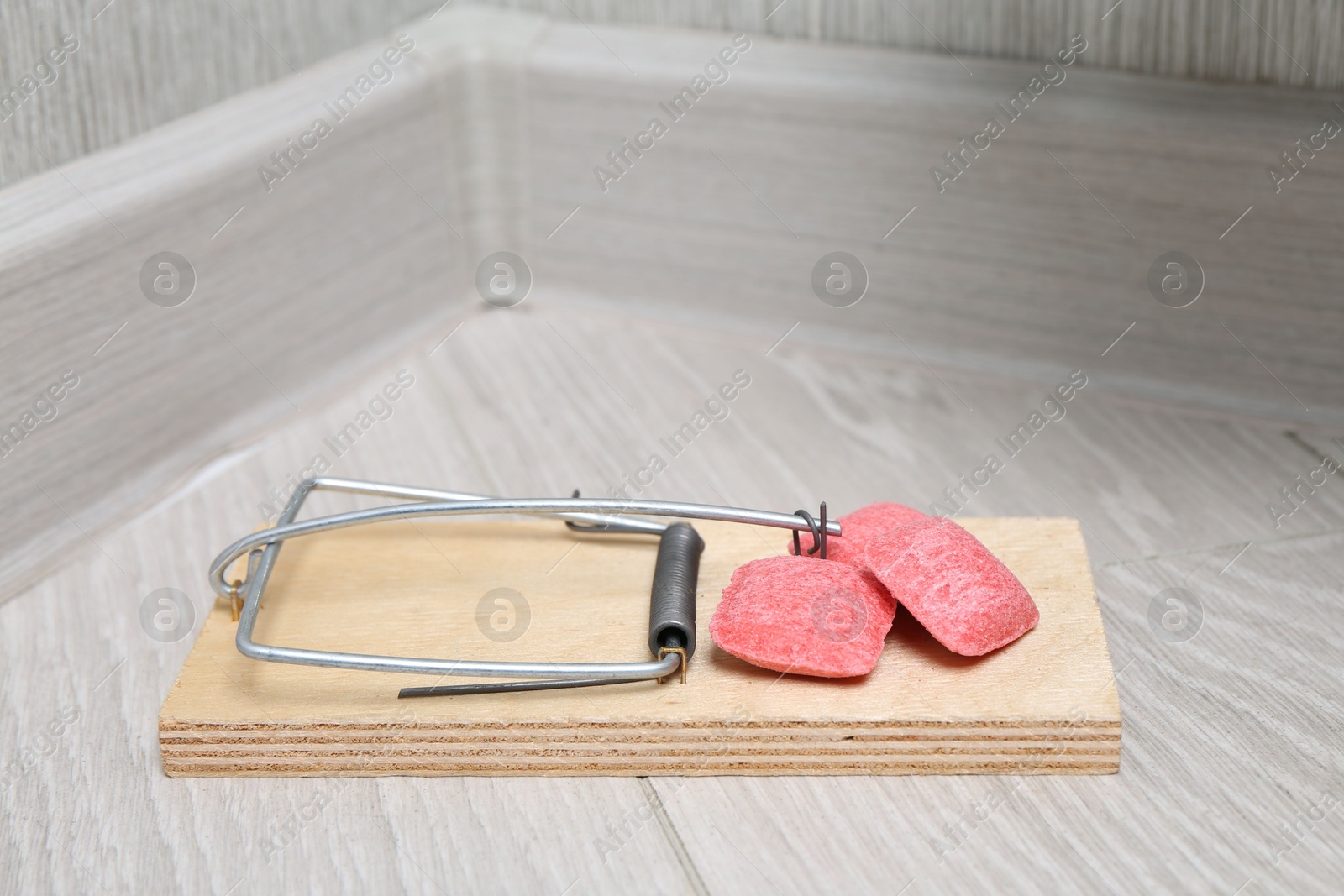 Photo of Mouse trap with rat poison on floor indoors, closeup