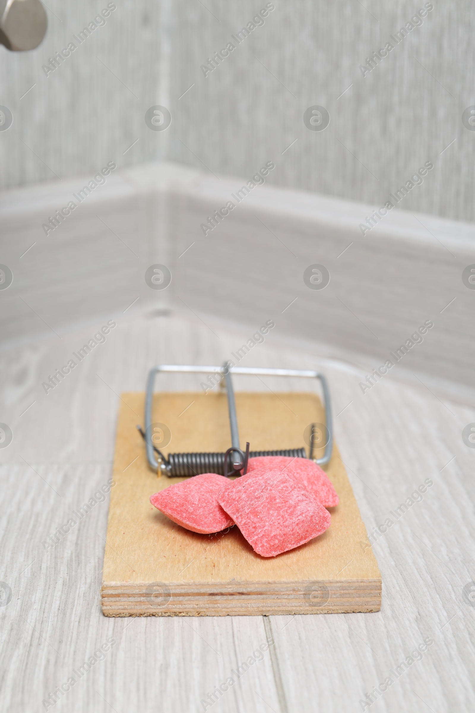 Photo of Mouse trap with rat poison on floor indoors, closeup