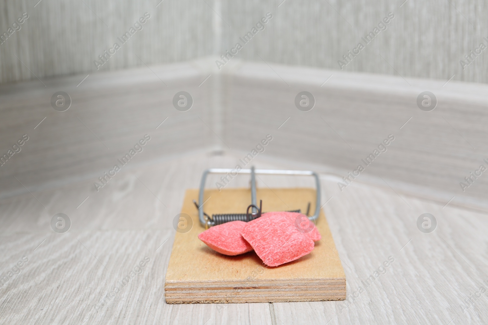 Photo of Mouse trap with rat poison on floor indoors, closeup