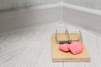 Photo of Mouse trap with rat poison on floor indoors, closeup. Space for text