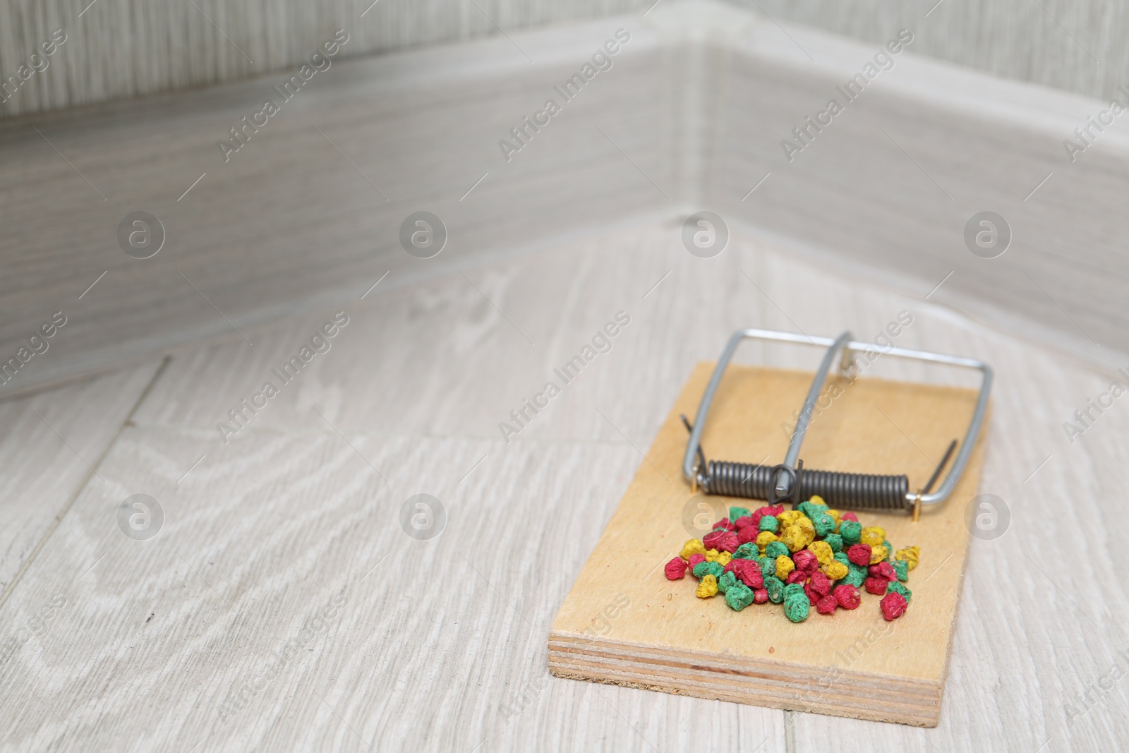 Photo of Mouse trap with rat poison on floor indoors, closeup. Space for text