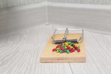 Photo of Mouse trap with rat poison on floor indoors, closeup. Space for text