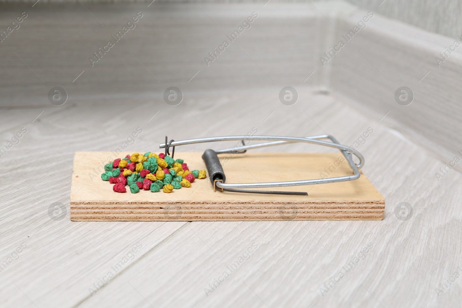 Photo of Mouse trap with rat poison on floor indoors, closeup