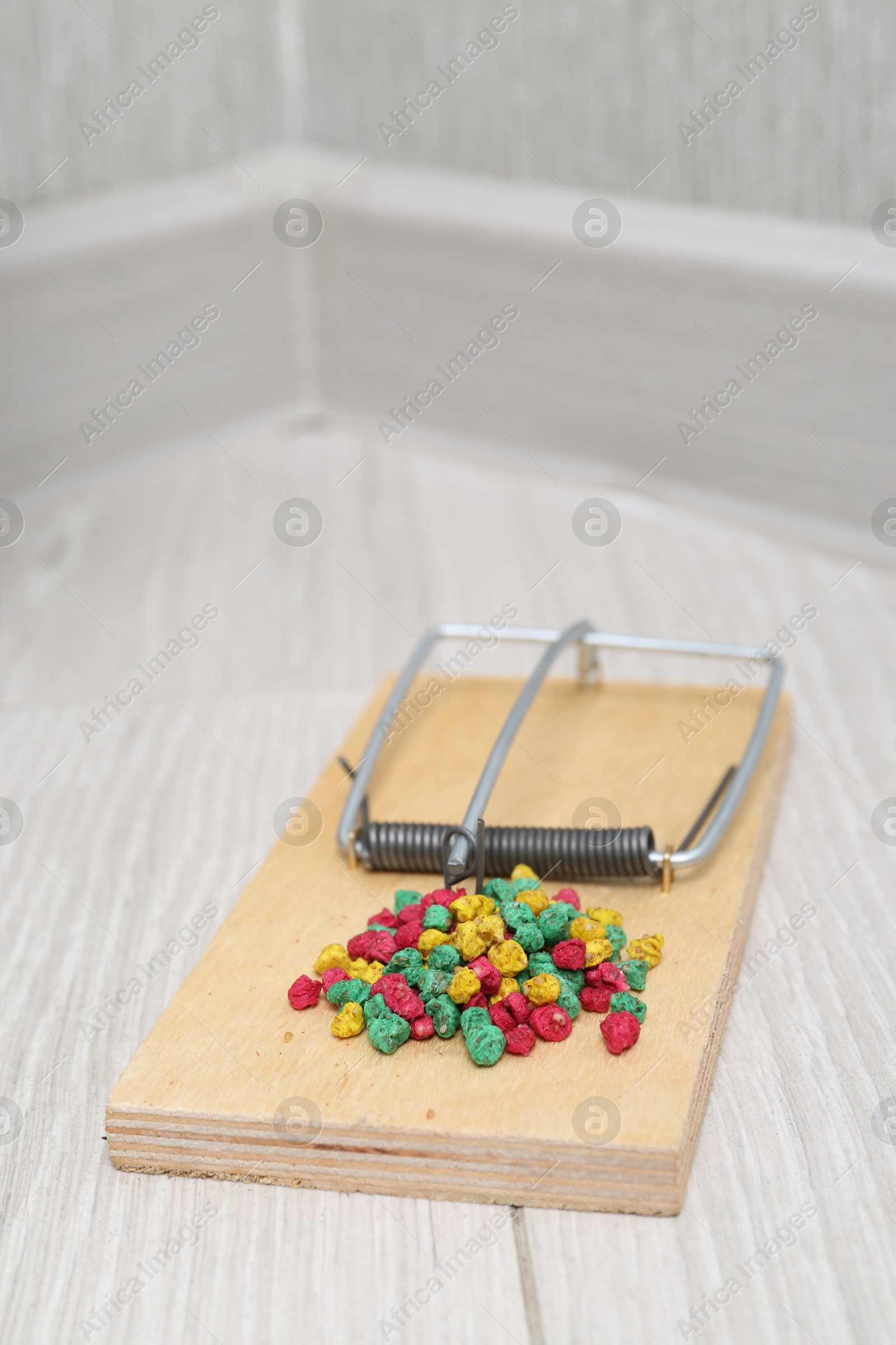 Photo of Mouse trap with rat poison on floor indoors, closeup