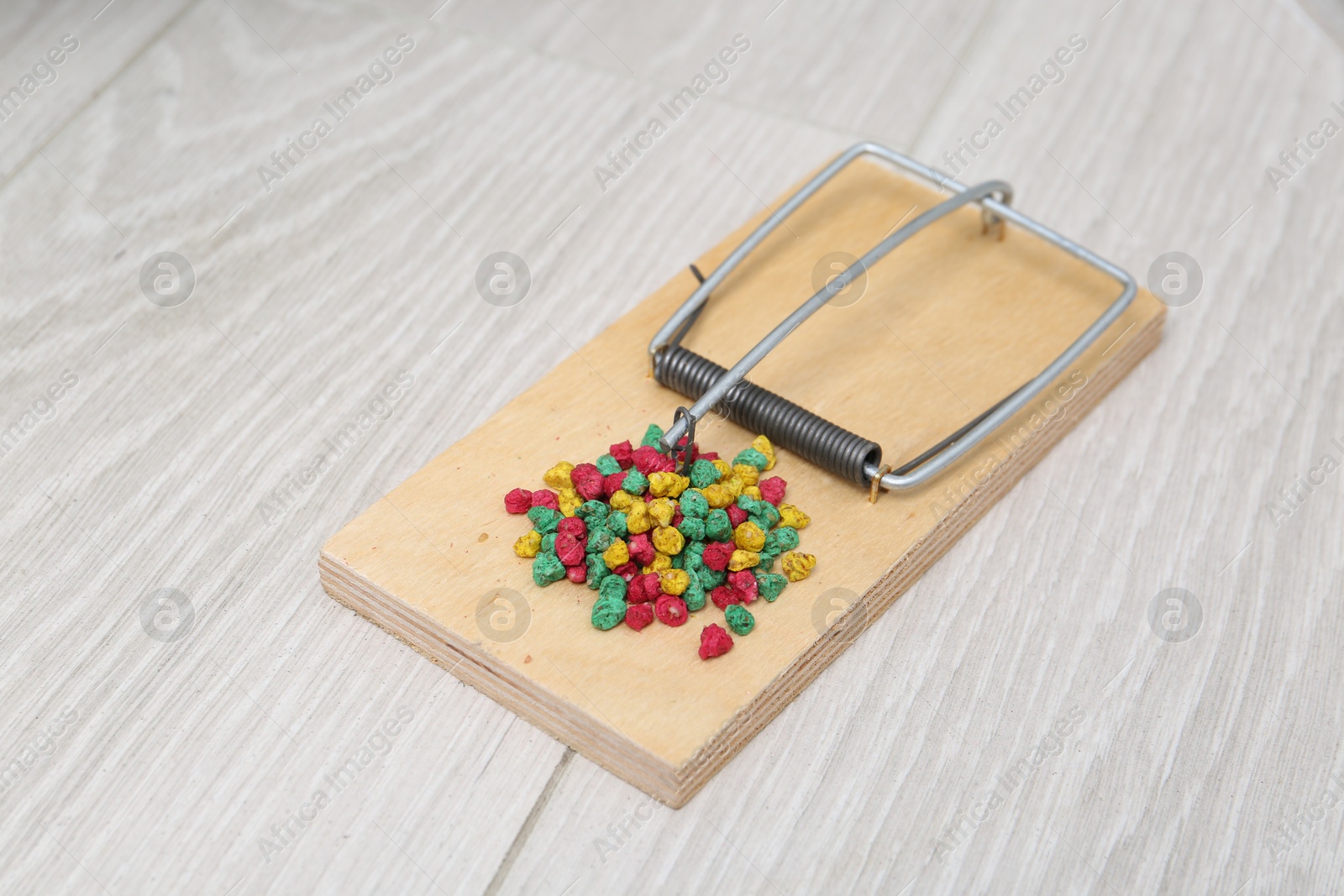 Photo of Mouse trap with rat poison on floor indoors, closeup