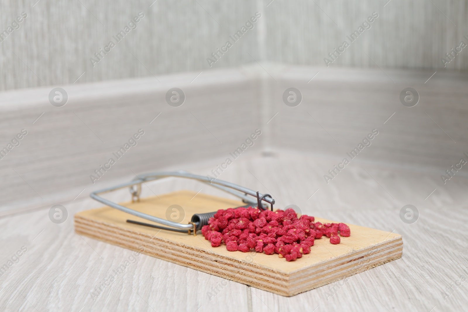 Photo of Mouse trap with rat poison on floor indoors, closeup