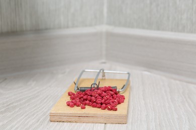 Photo of Mouse trap with rat poison on floor indoors, closeup