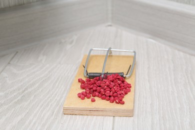 Photo of Mouse trap with rat poison on floor indoors, closeup