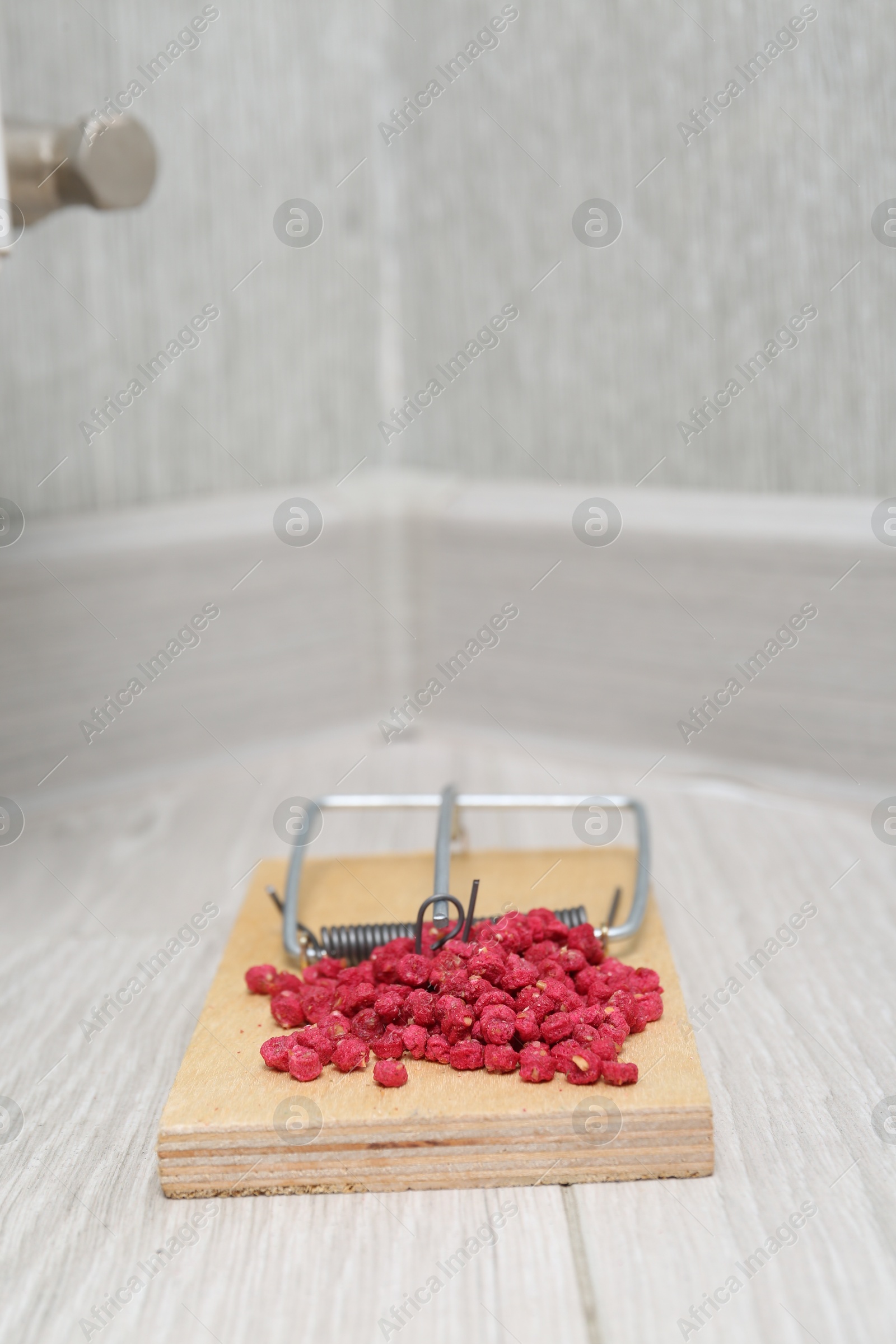 Photo of Mouse trap with rat poison on floor indoors, closeup. Space for text