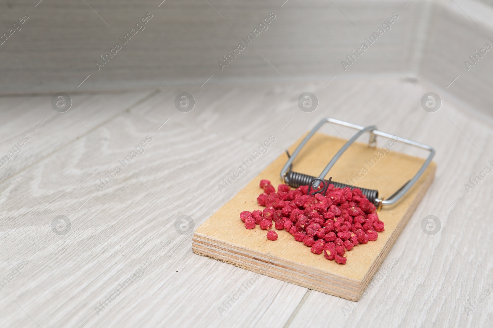 Photo of Mouse trap with rat poison on floor indoors, closeup. Space for text