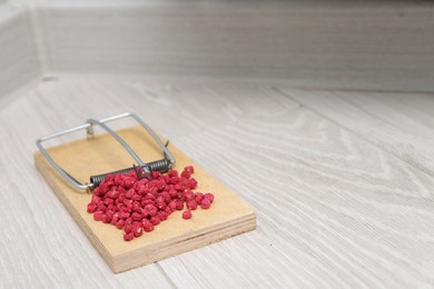 Photo of Mouse trap with rat poison on floor indoors, closeup. Space for text