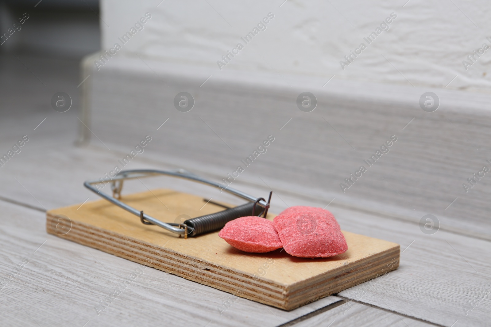 Photo of Mouse trap with rat poison on floor indoors, closeup