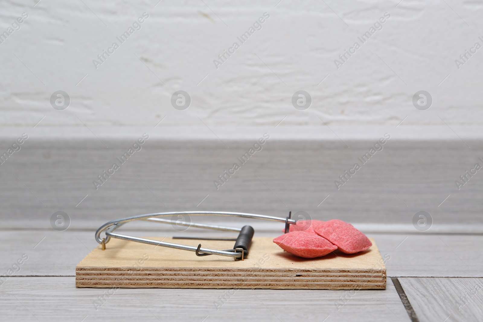 Photo of Mouse trap with rat poison on floor indoors, closeup. Space for text