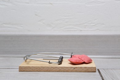 Photo of Mouse trap with rat poison on floor indoors, closeup. Space for text