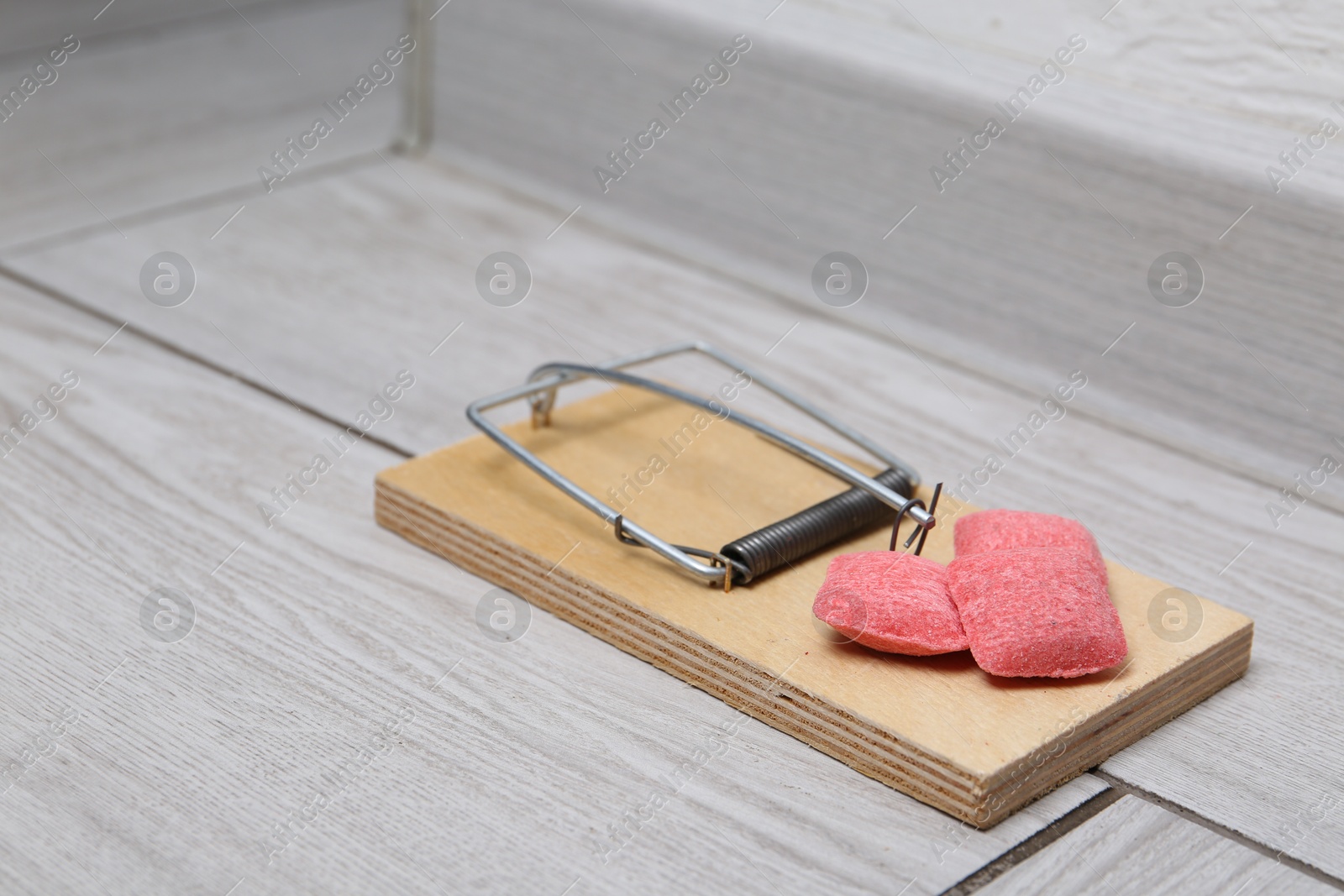 Photo of Mouse trap with rat poison on floor indoors, closeup. Space for text