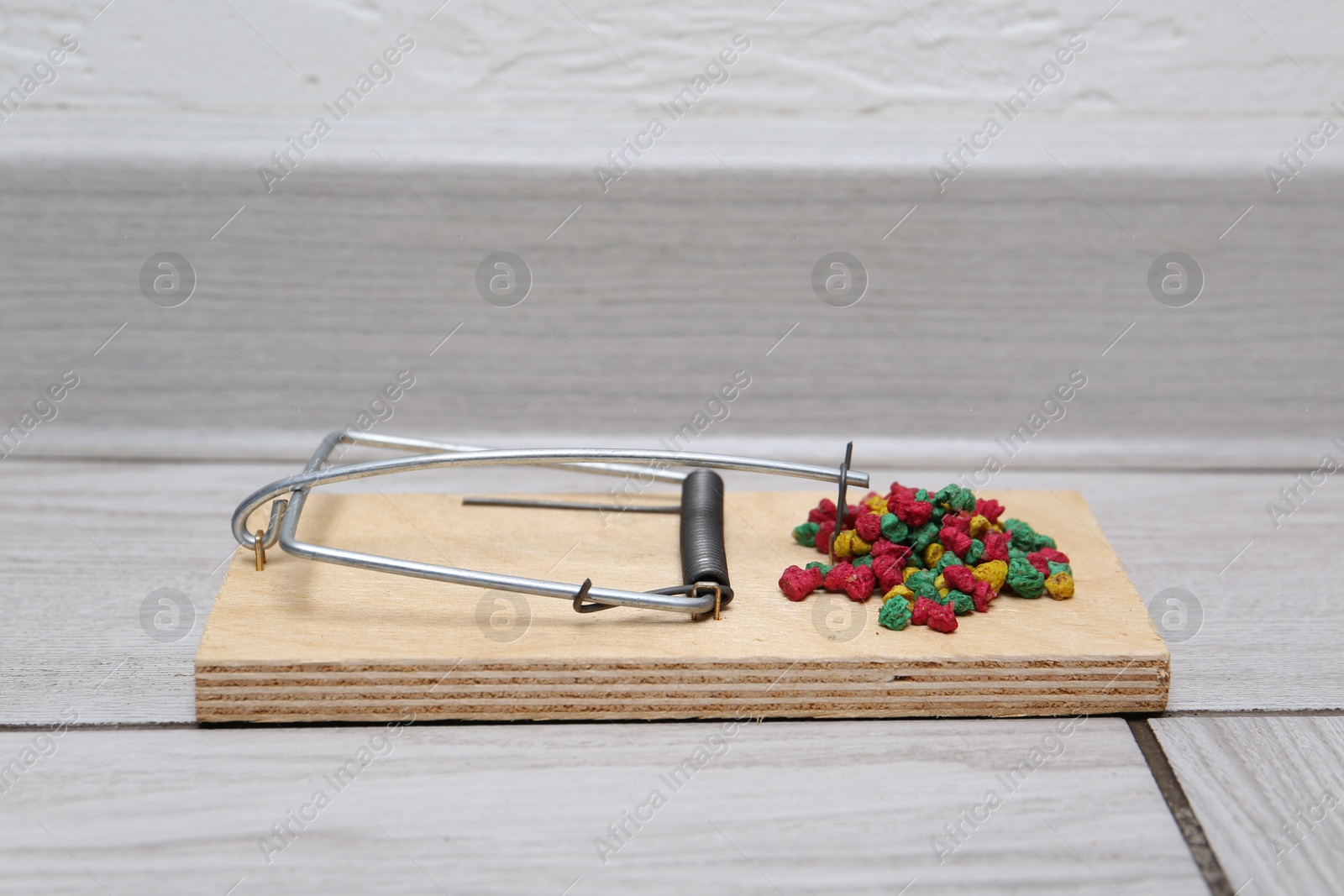 Photo of Mouse trap with rat poison on floor indoors, closeup