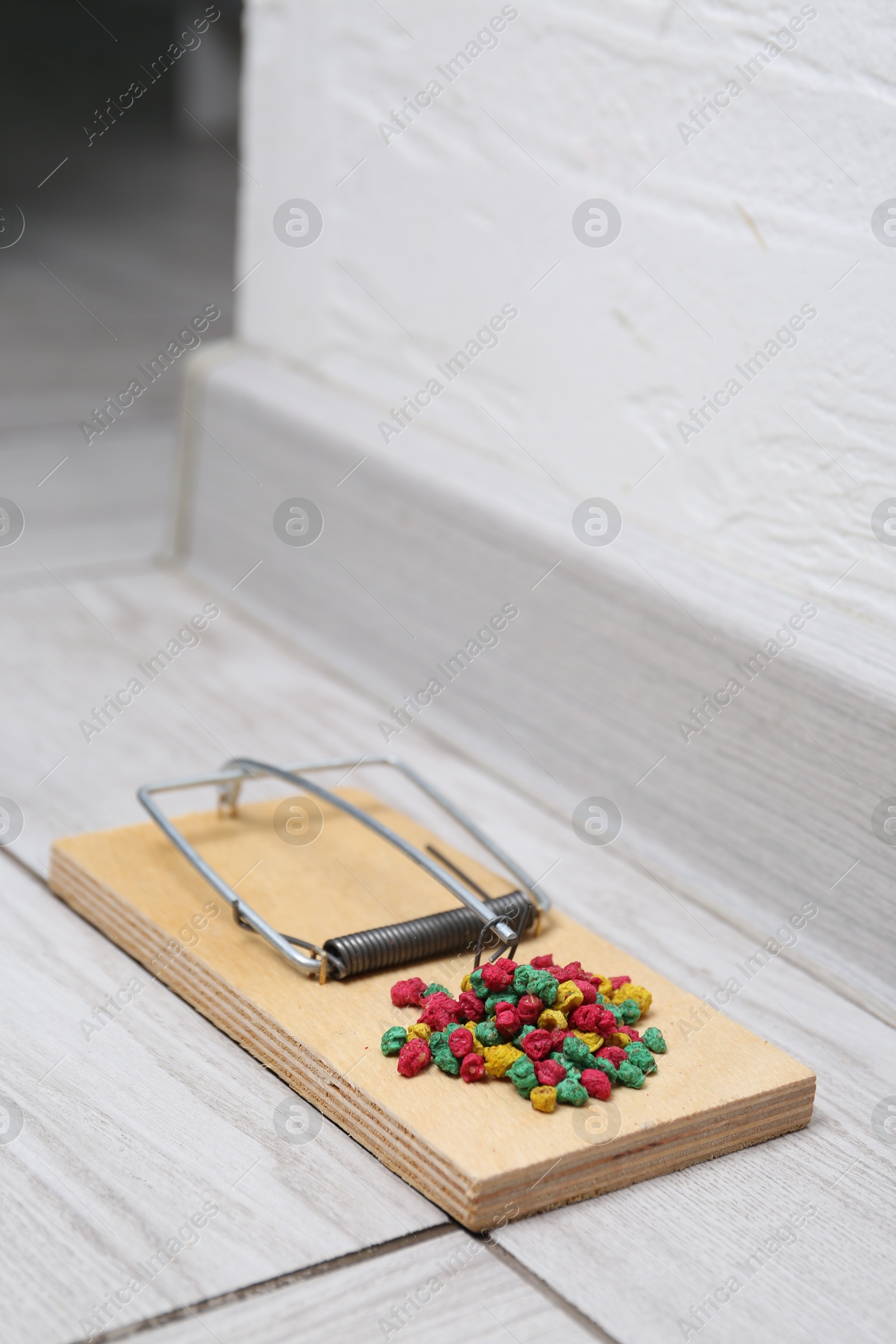 Photo of Mouse trap with rat poison on floor indoors, closeup