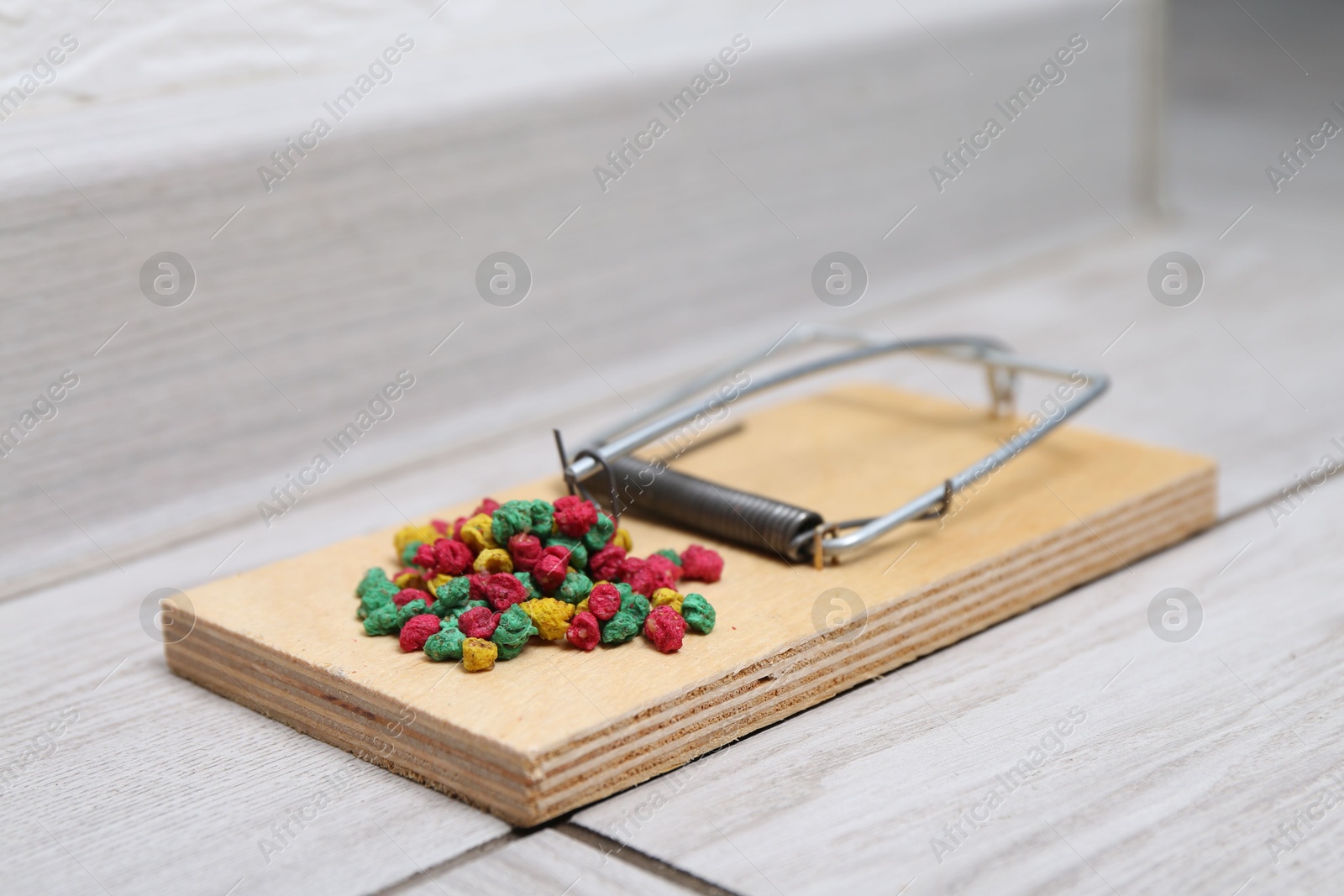 Photo of Mouse trap with rat poison on floor indoors, closeup