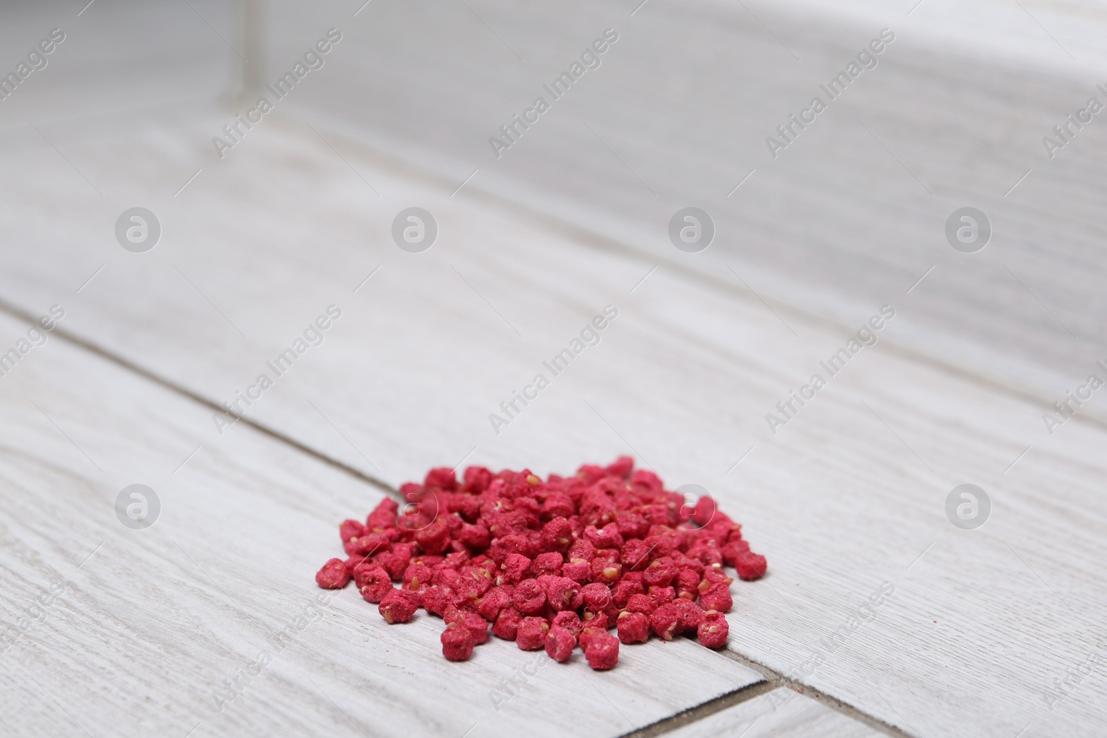 Photo of Pile of rat poison on floor indoors, closeup. Space for text