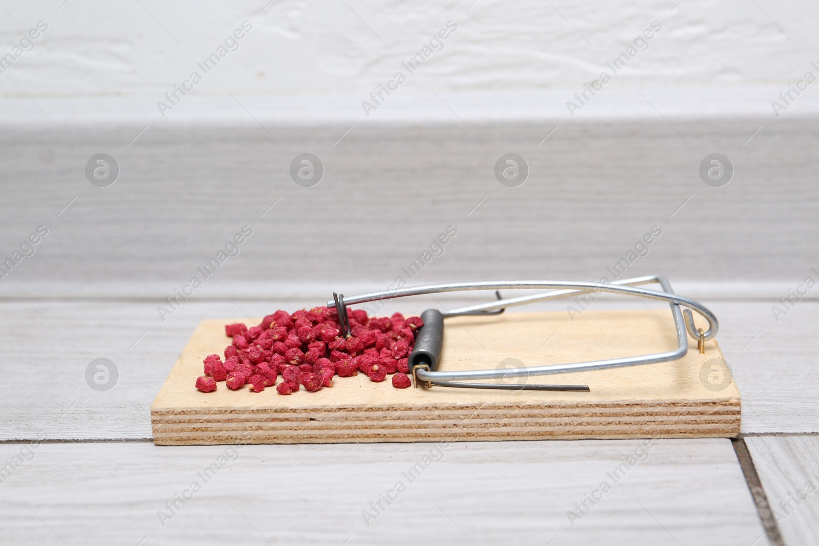 Photo of Mouse trap with rat poison on floor indoors, closeup. Space for text