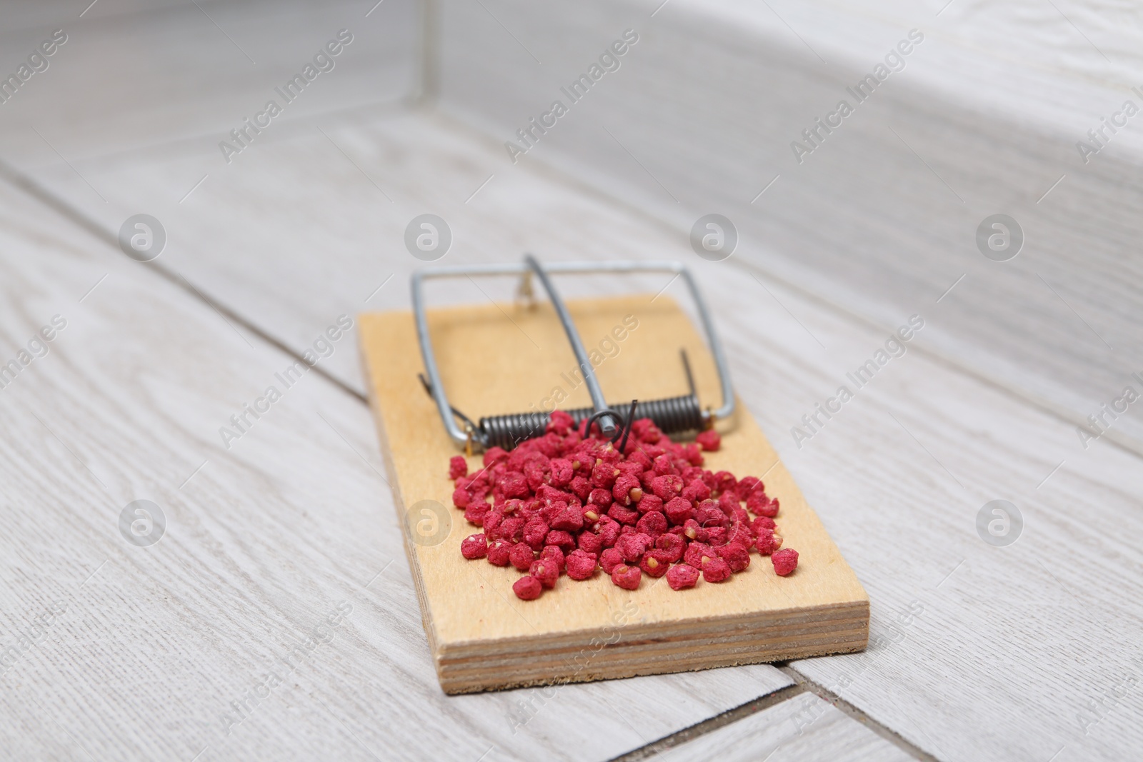 Photo of Mouse trap with rat poison on floor indoors, closeup