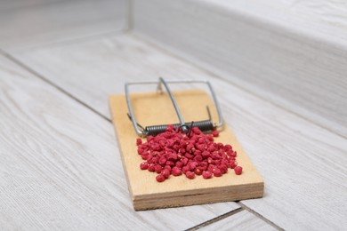 Photo of Mouse trap with rat poison on floor indoors, closeup