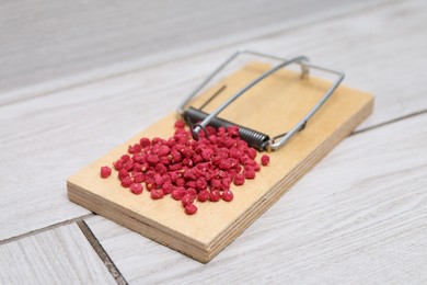 Photo of Mouse trap with rat poison on floor indoors, closeup