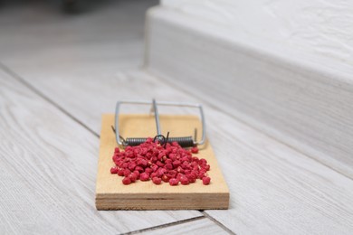 Photo of Mouse trap with rat poison on floor indoors, closeup