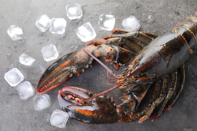 Photo of Raw lobster and ice cubes on grey textured table, flat lay