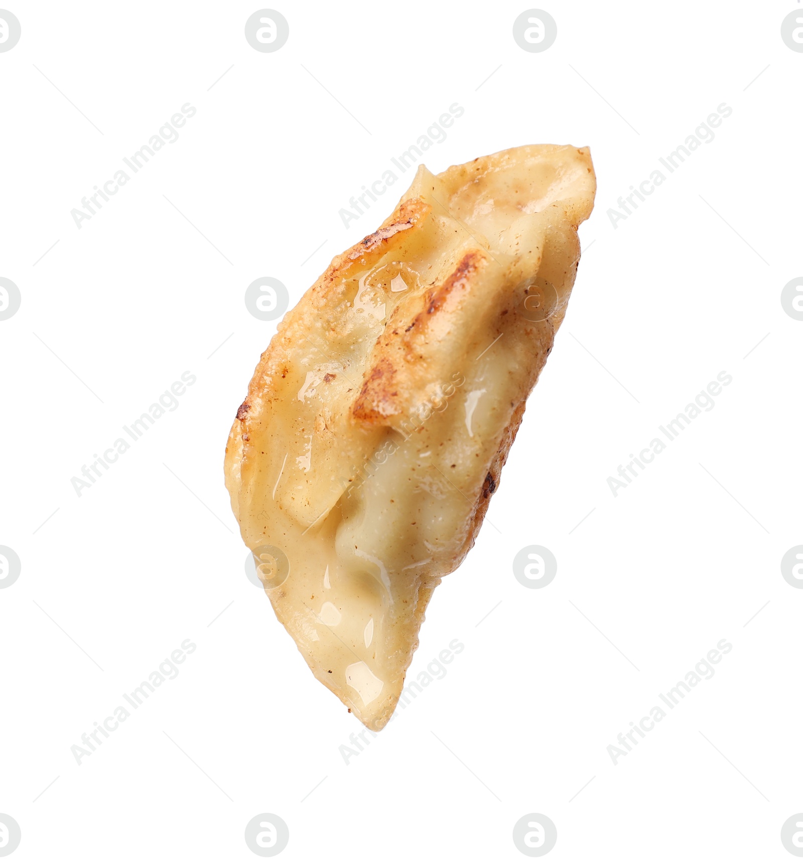 Photo of One fried gyoza dumpling isolated on white