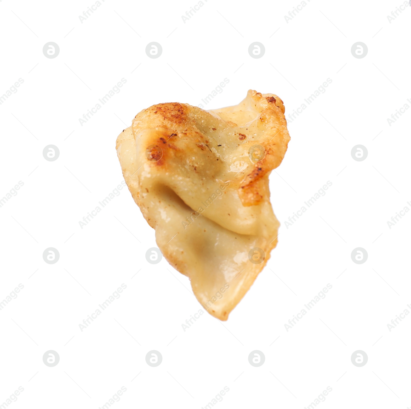 Photo of One fried gyoza dumpling isolated on white