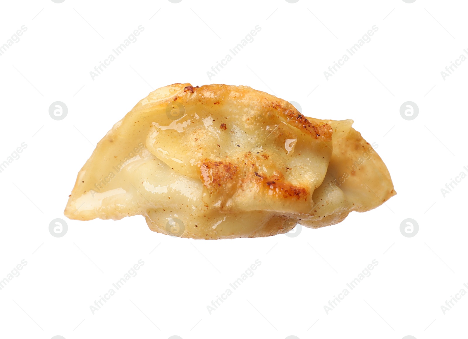 Photo of One fried gyoza dumpling isolated on white