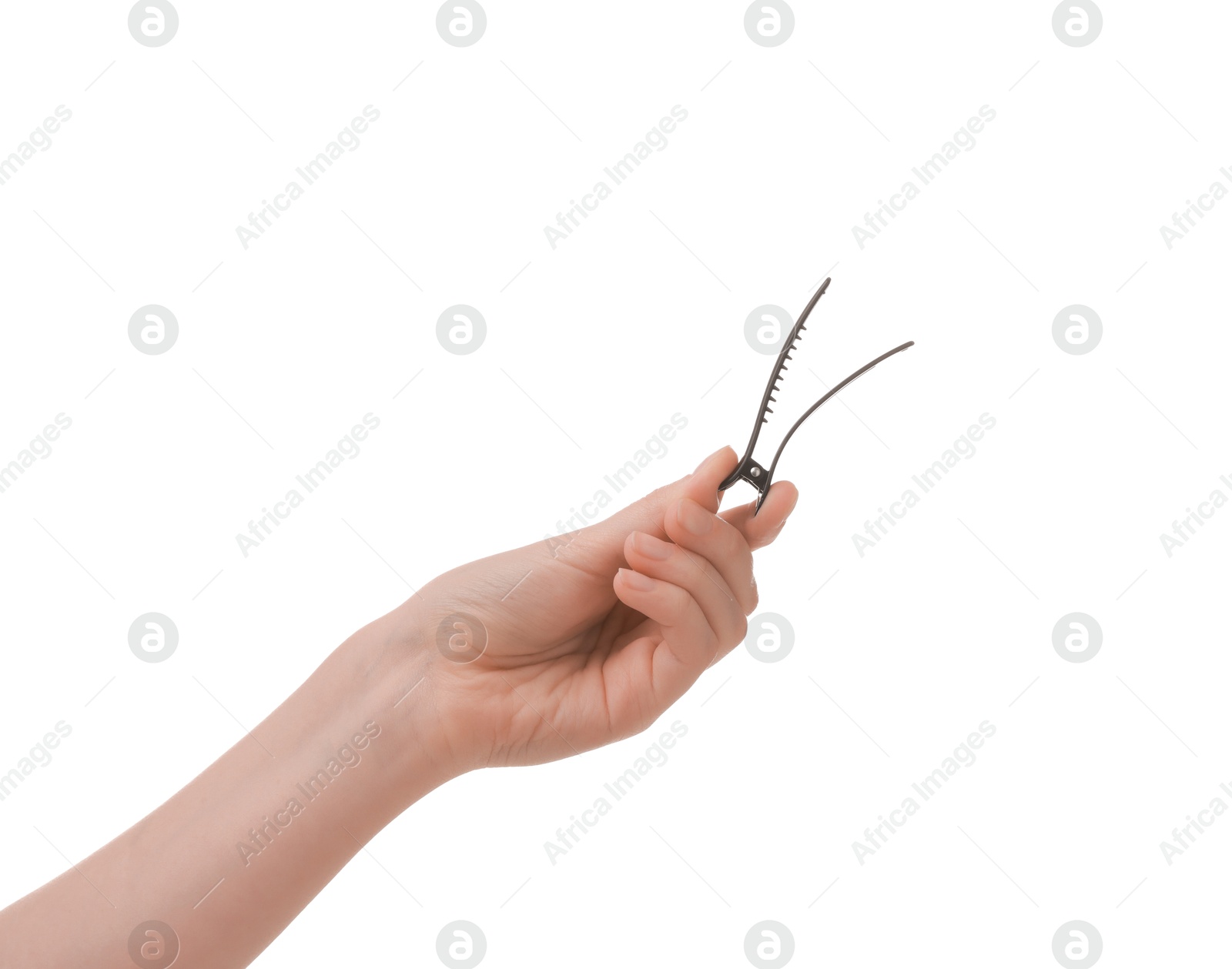 Photo of Woman with hair clip for pet grooming on white background, closeup