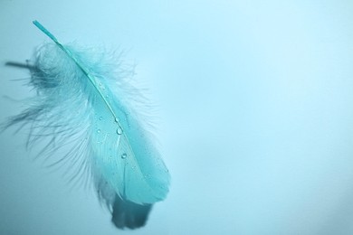 Photo of One fluffy feather on light blue background, top view. Space for text