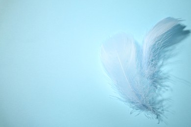 Photo of Fluffy feathers on light blue background, top view. Space for text